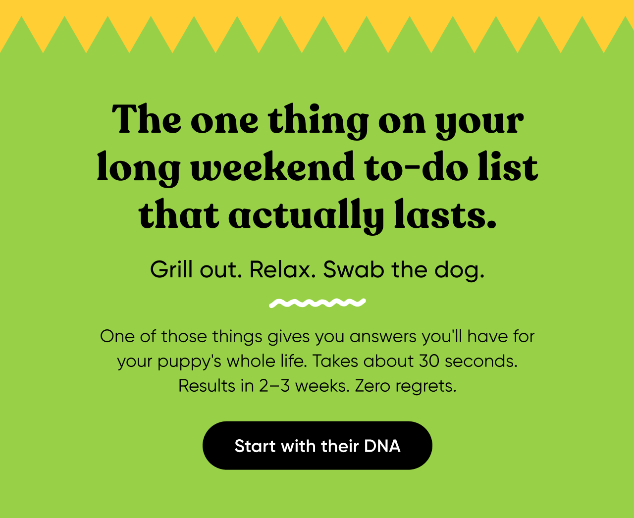 The one thing on your long weekend to-do list that actually lasts. Grill out. Relax. Swab the dog. One of those things gives your answers you'll have for your dog's whole life. Taks about 30 seconds. Rersults in 2-3 weeks. Zero regrets. Start with their DNA.