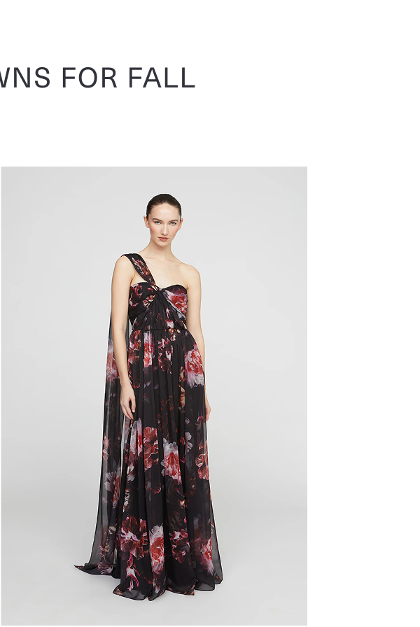 Shop the Lina Chiffon Gown