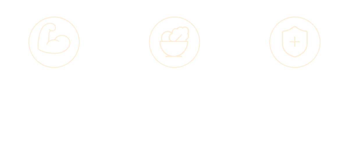 40g protein, 9g fiber, and 27 vitamins & minerals per serving