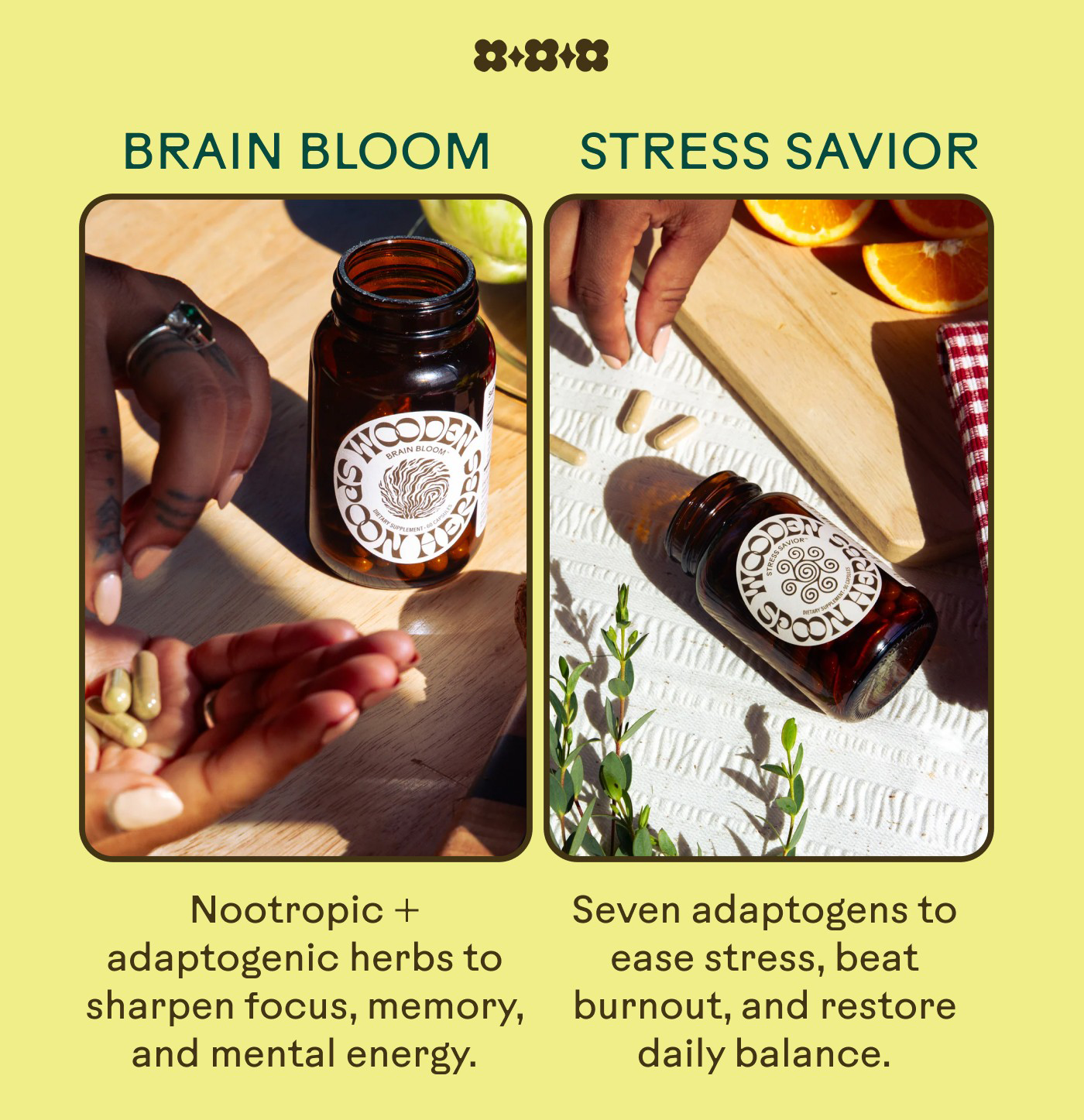 Brain Bloom Nootropic + adaptogenic herbs to sharpen focus, memory, and mental energy.  Stress Savior Seven adaptogens to ease stress, beat burnout, and restore daily balance.