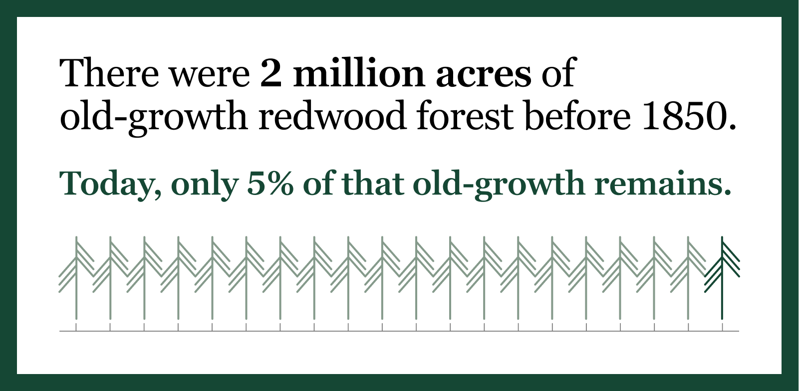 There were 2 million acres of old-growth redwood forest before 1850. Today, only 5% of that remains.