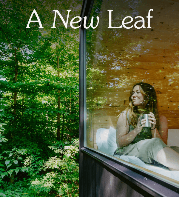 A New Leaf