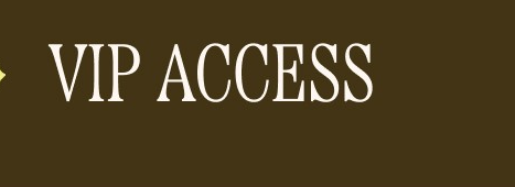 VIP ACCESS 