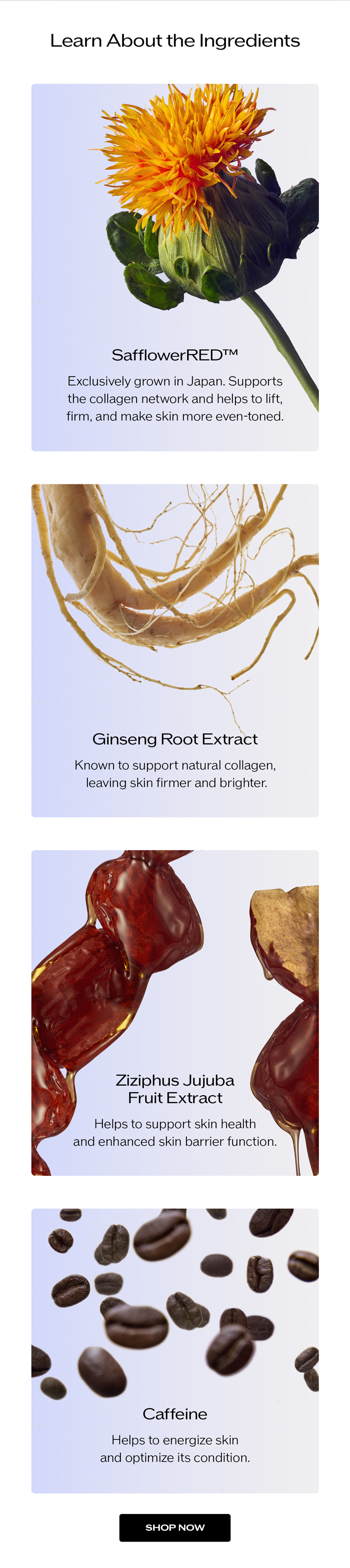 Learn about the ingredients