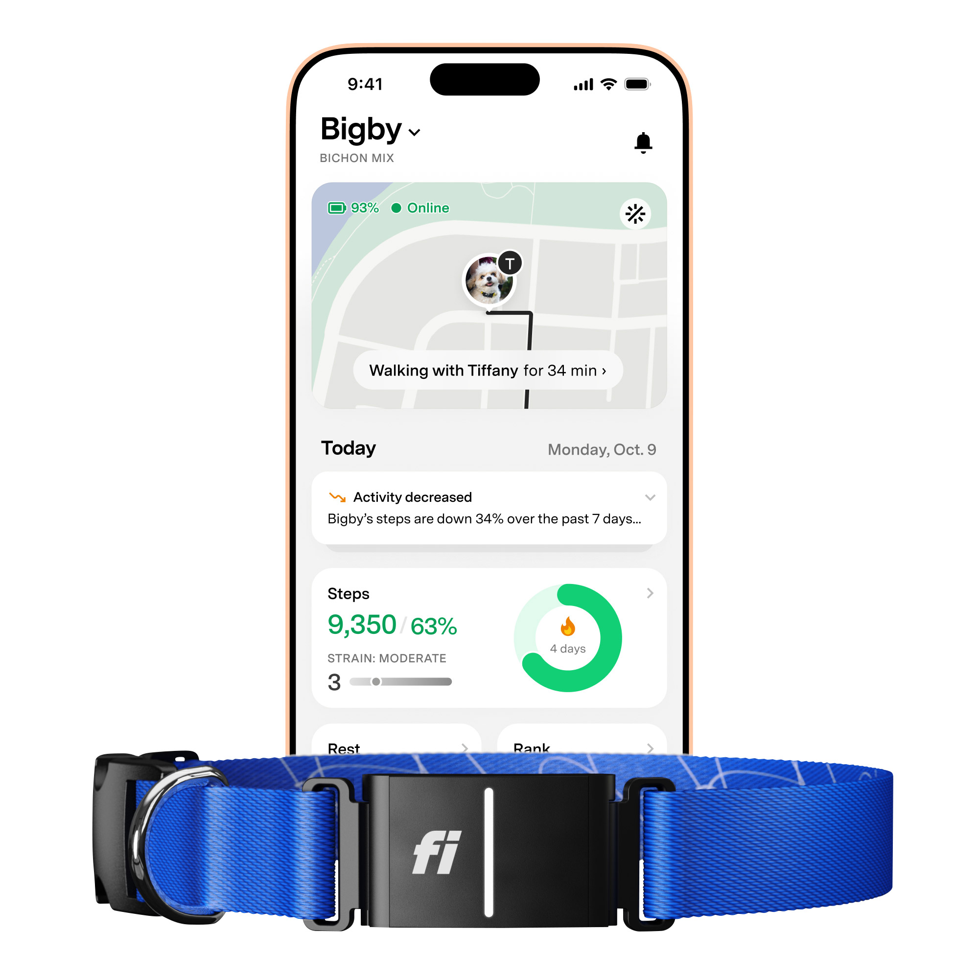 Fi Series 3+ Smart Dog Collar - GPS Tracker and Activity and Health Monitor, 14-Month Subscription