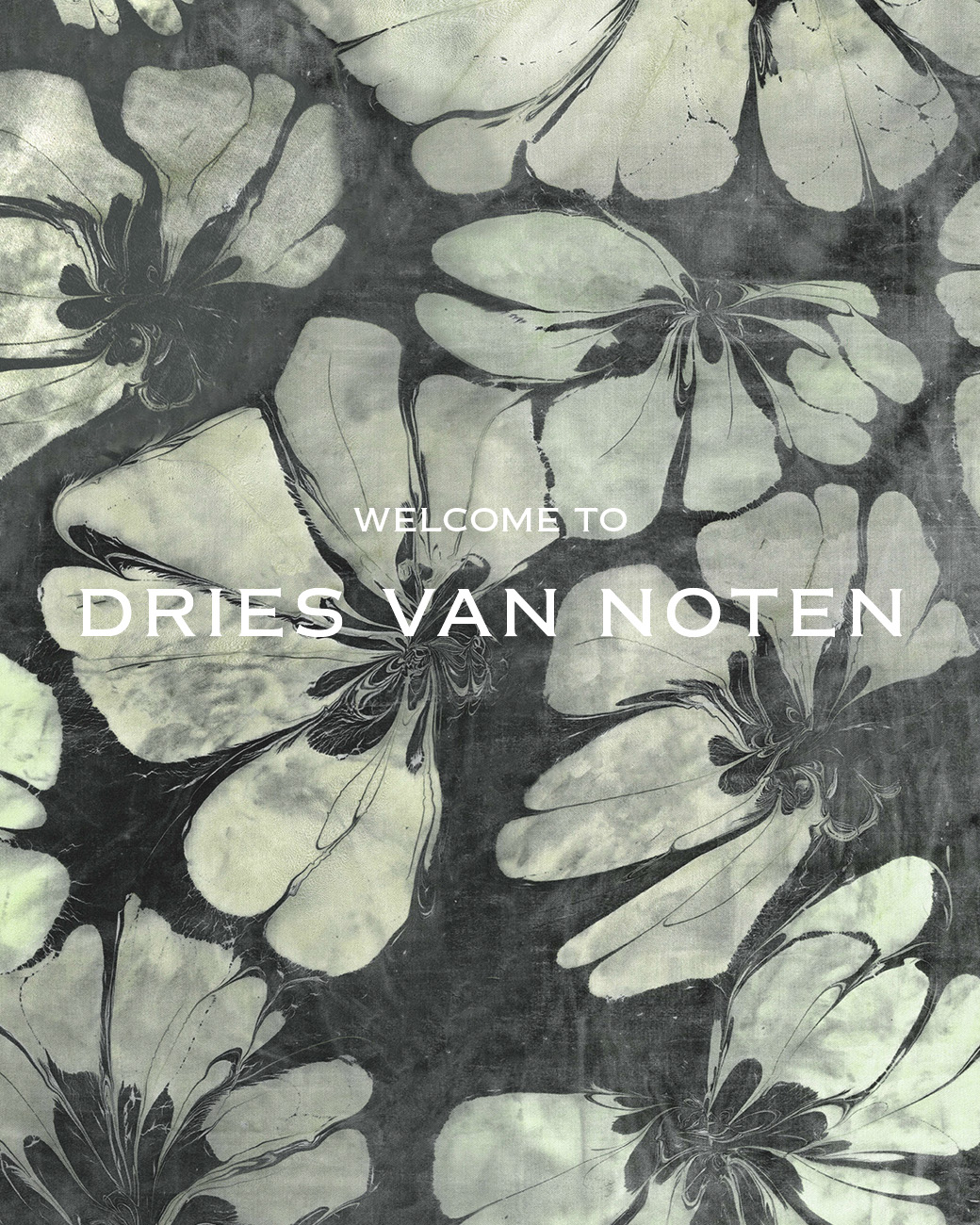 Welcome to Dries Van Noten