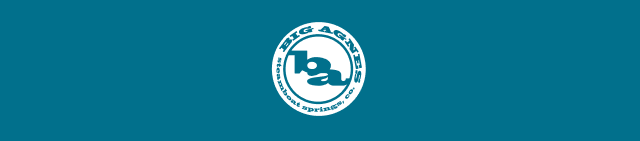 Big Agnes logo