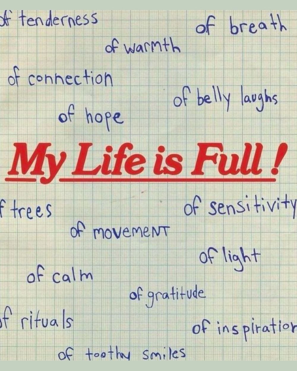Red text on graph paper says: My Life is Full! Behind this, written in pen, are many phrases such as: of movement, of light, of gratitude, of hope, etc. 