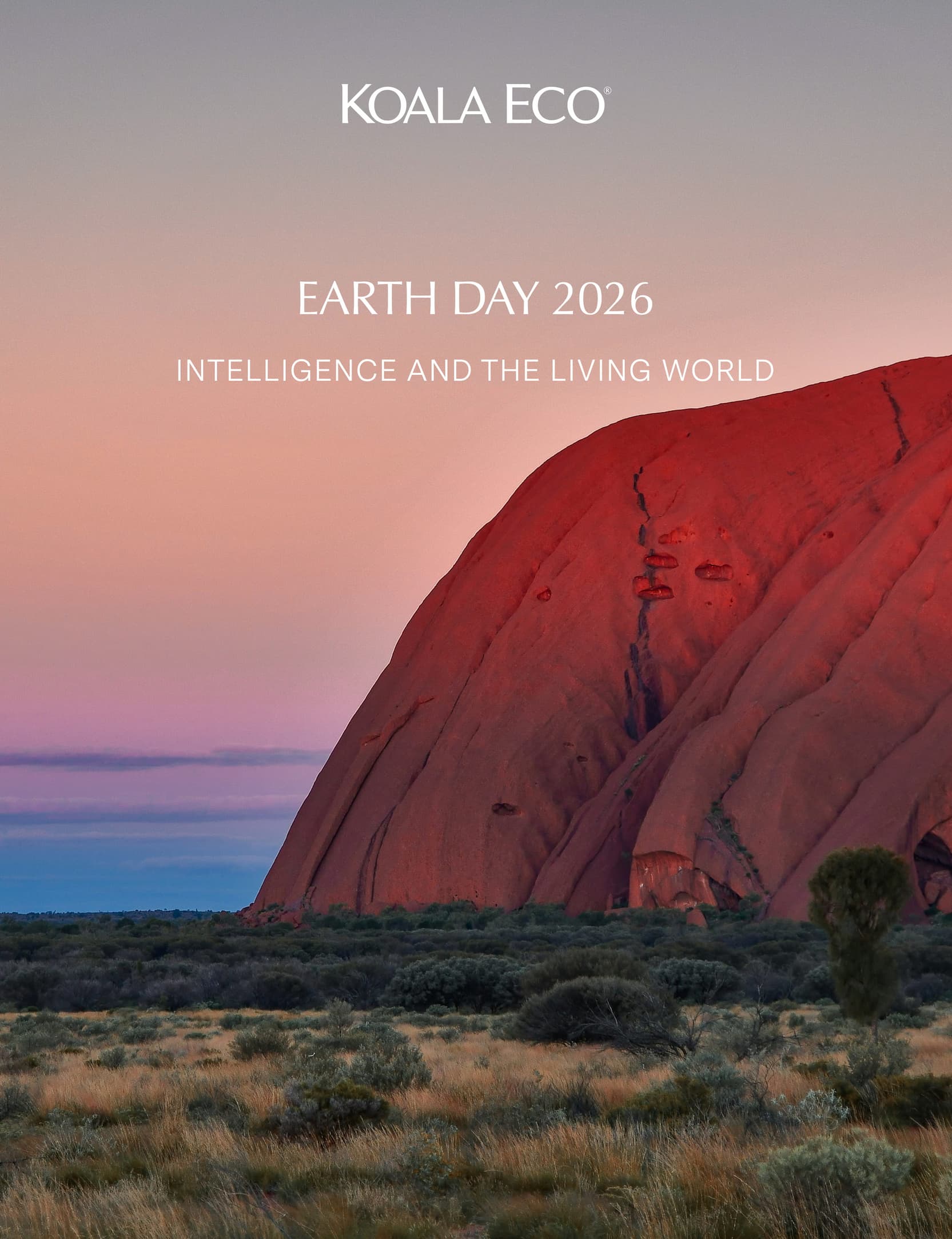KOALA ECO: Earth Day 2026