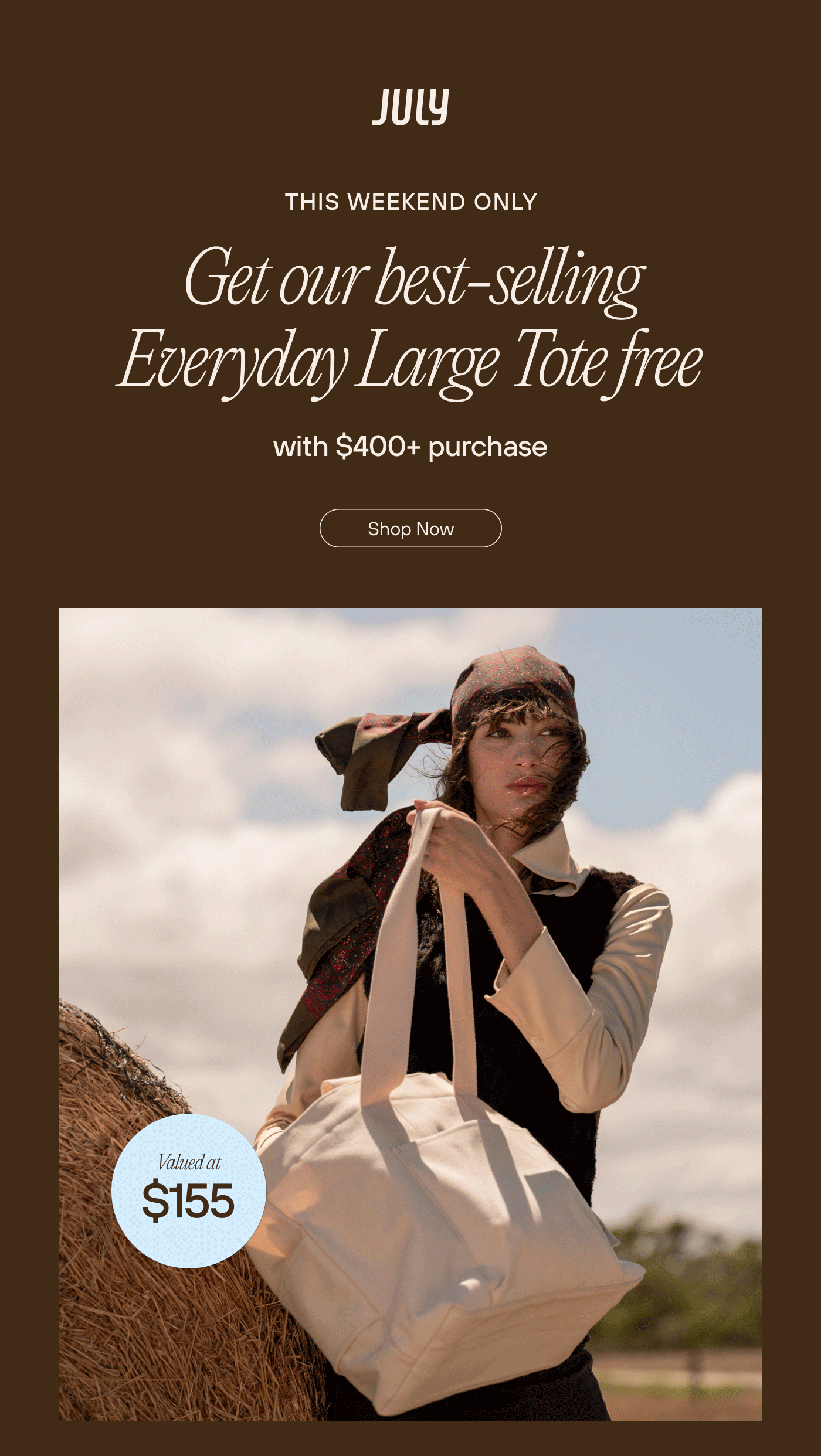 Get our best-selling Everyday Large Tote free