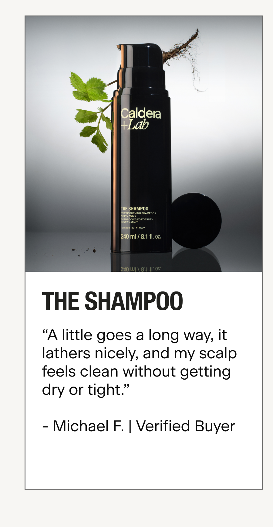 THE SHAMPOO
