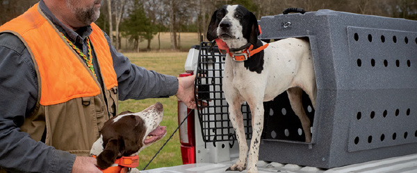 Dog Equipment
