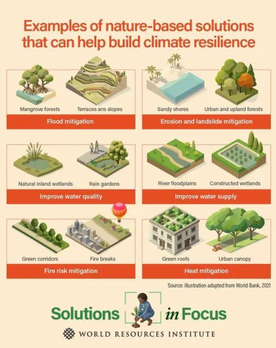 Nature-based solutions