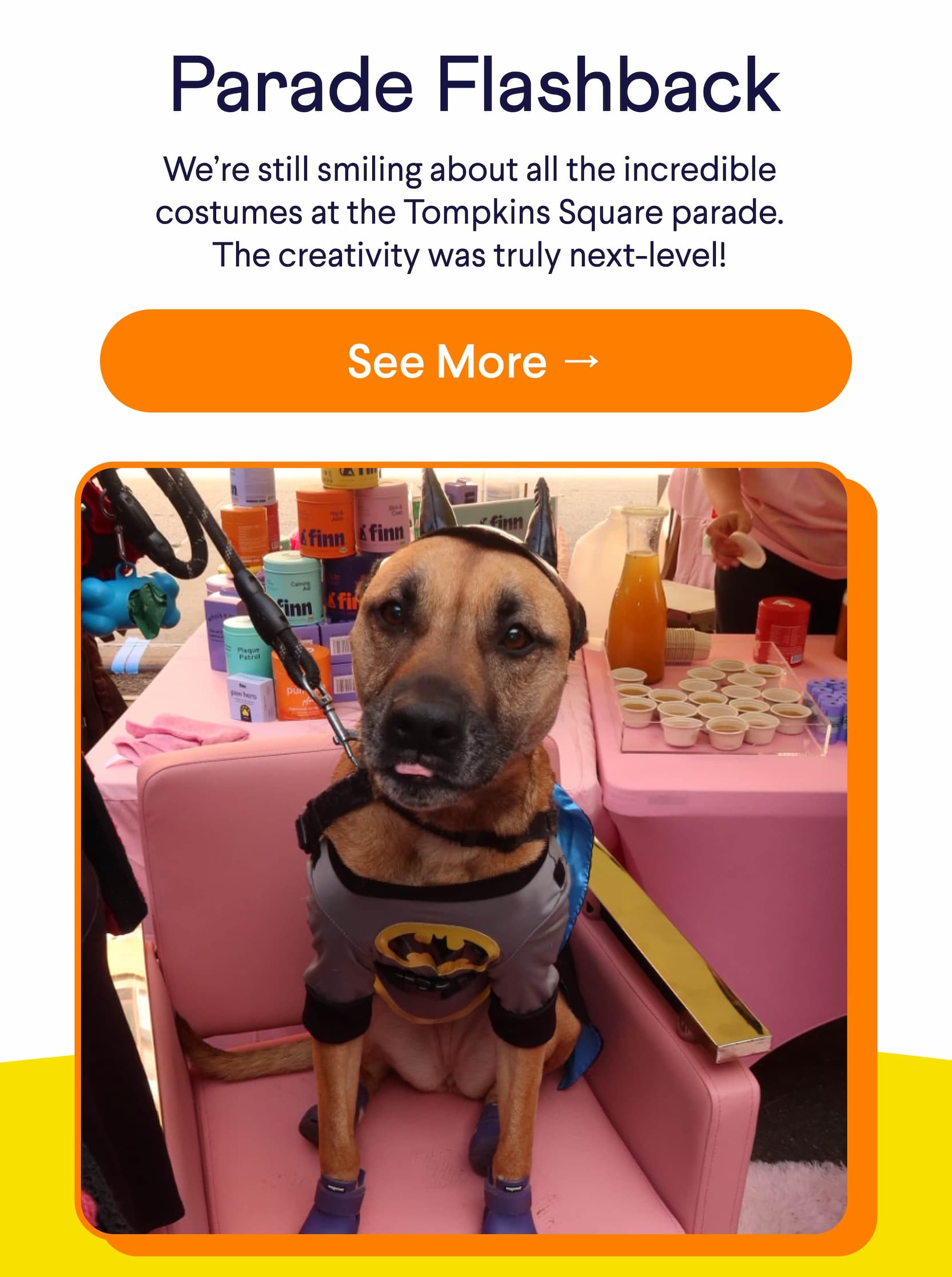 Text: Parade Flashback We’re still smiling about all the incredible costumes at the Tompkins Square parade. The creativity was truly next-level! CTA: See More → Photo: Mixed breed dog in batman costume in front of Finn's wellness booth