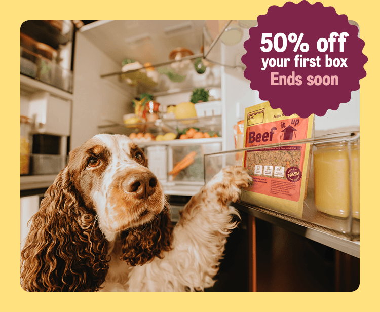 50% off your first box and 25% off your second box end soon