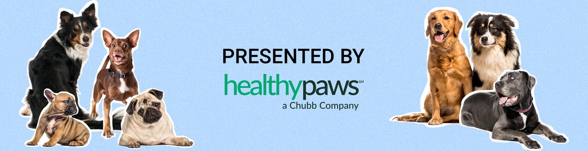 presented by Healthy Paws