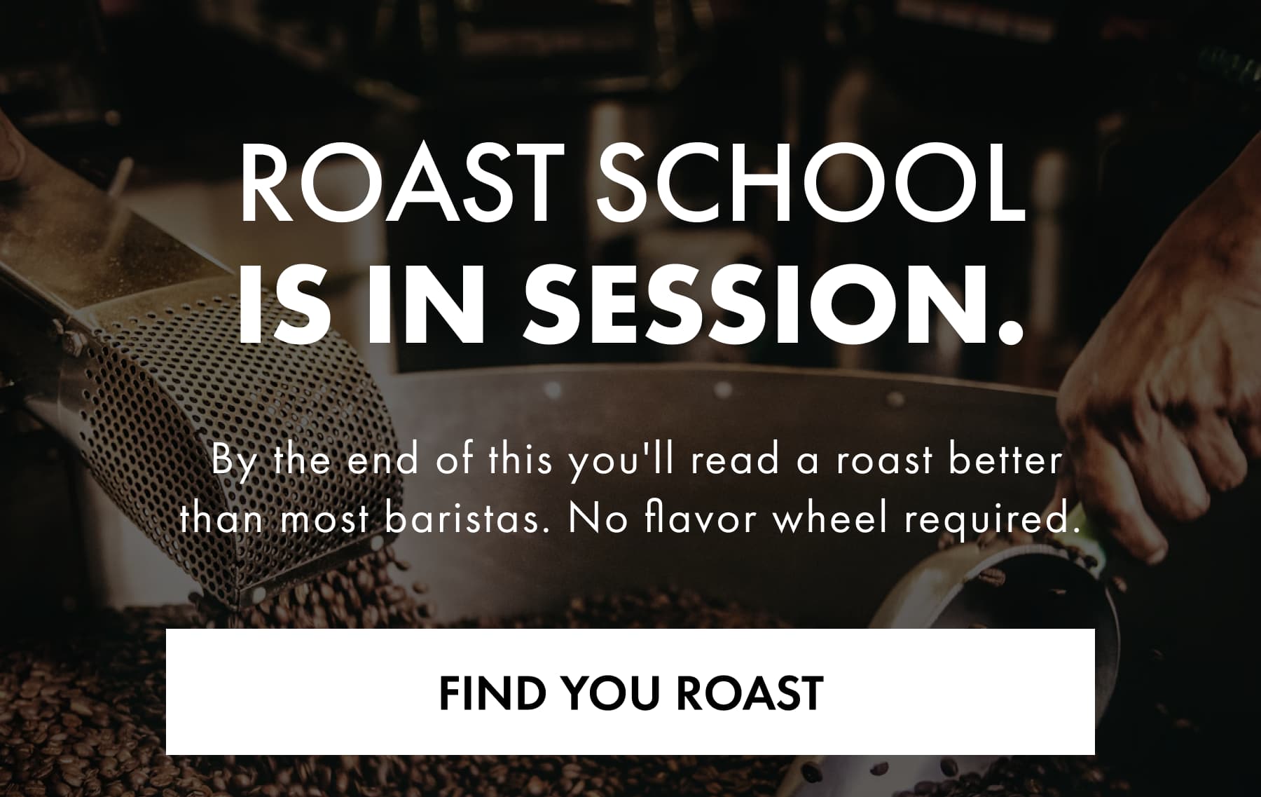 ROAST SCHOOL IS IN SESSION.  By the end of this you'll read a roast better than most baristas. No flavor wheel required.