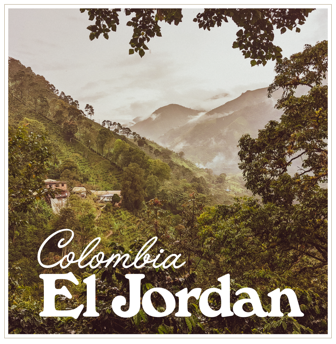 20 years of partnership with El Jordan