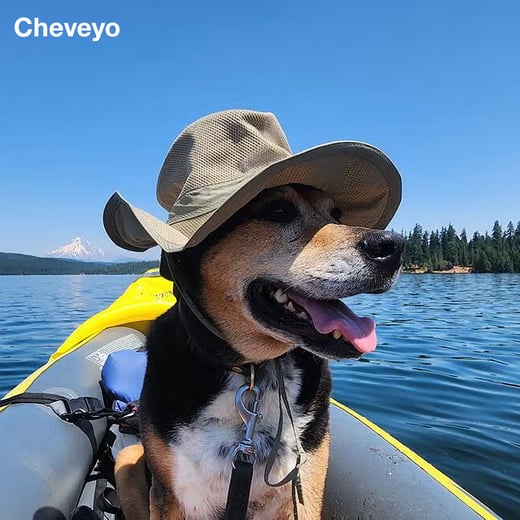 Cheveyo the dog memorial 