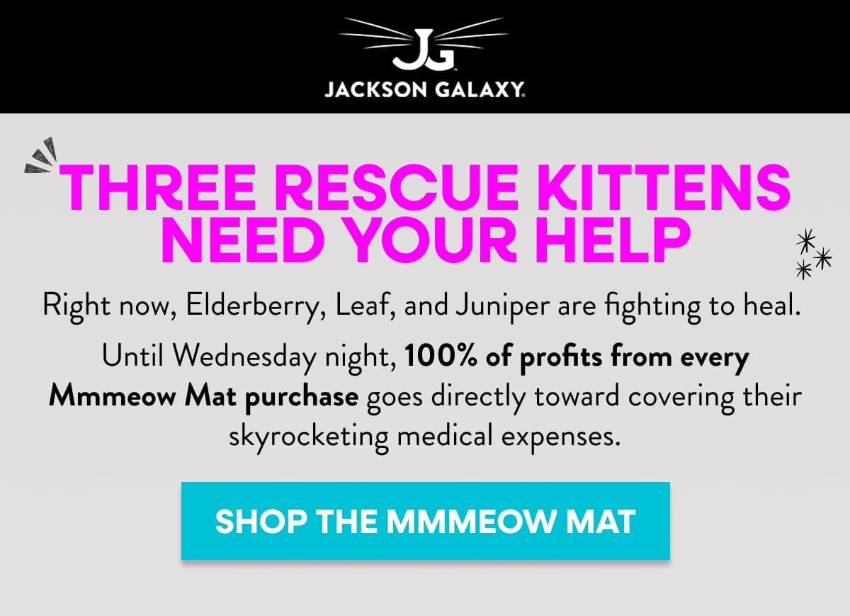 Help with three rescue kittens