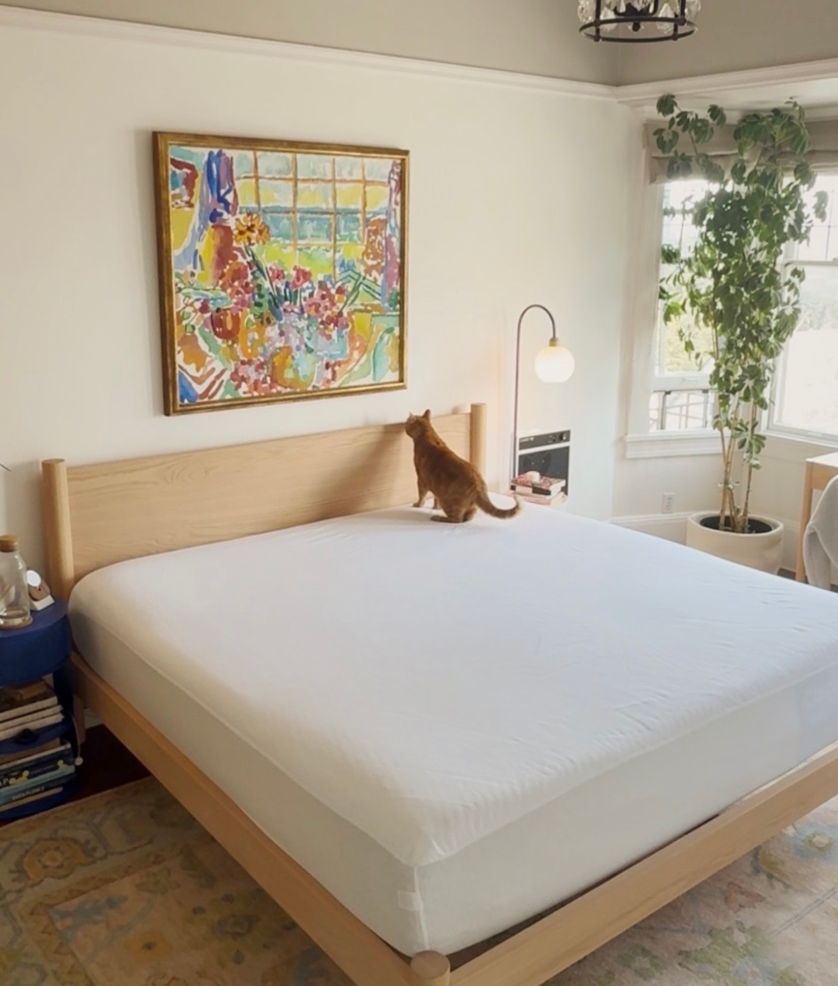 Keeps Architect Bed Frame Oak King Size bedroom with cat and colorful art
