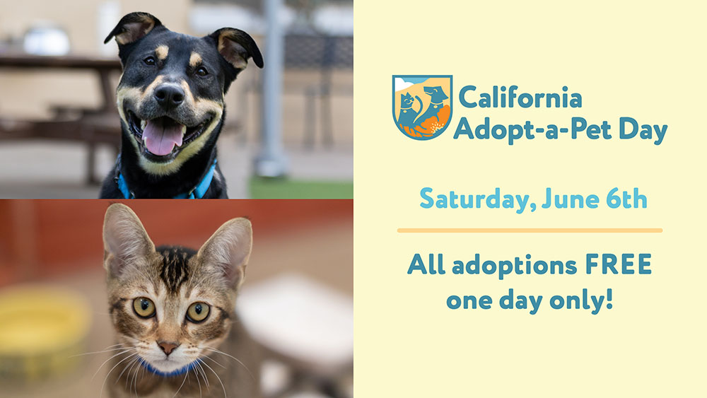 California Adopt-a-Pet Day-Saturday, June 6th-All adoptions free, one day only.