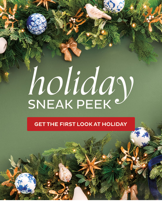 Holiday Sneak Peek - Get the first look at holiday