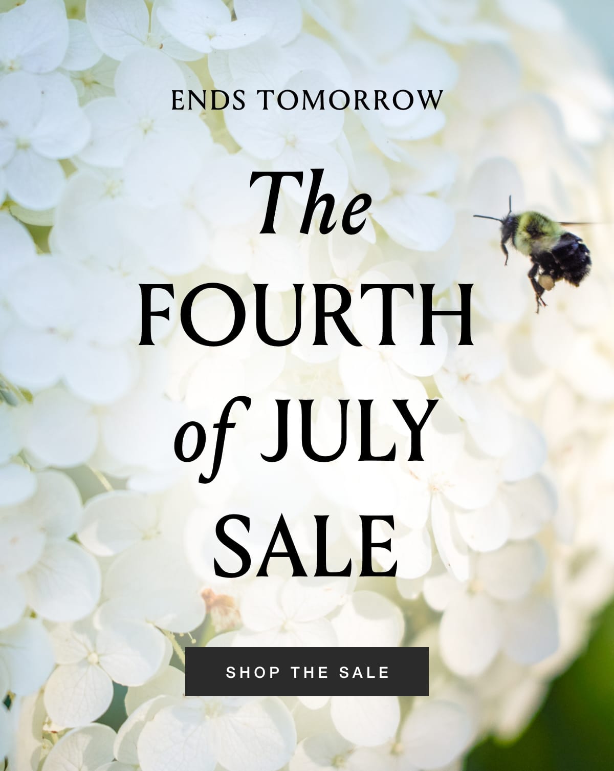 Shop The Sale