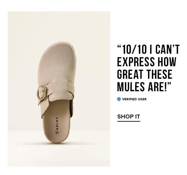 “10/10 I can’t express how great these mules are!”