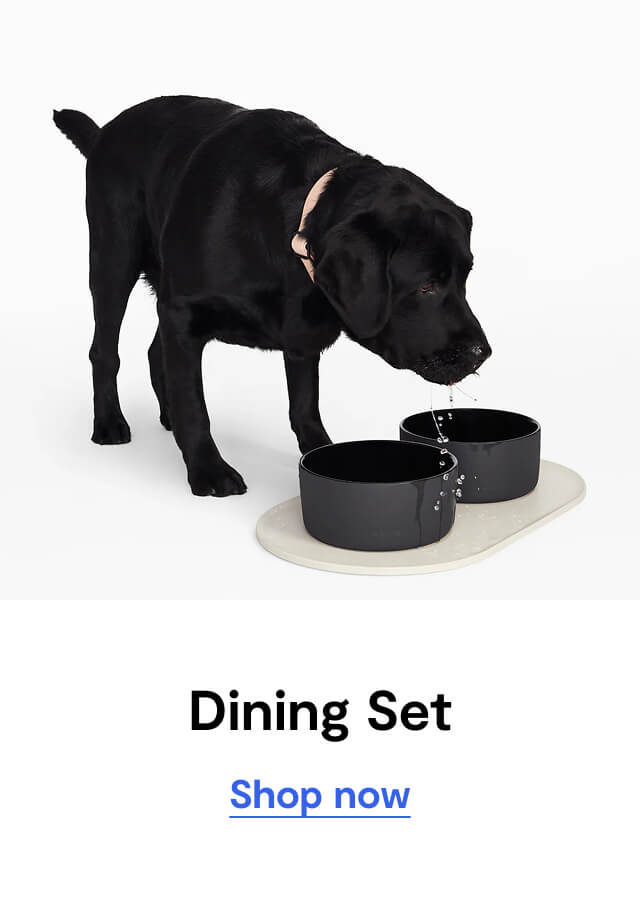 Dining Set