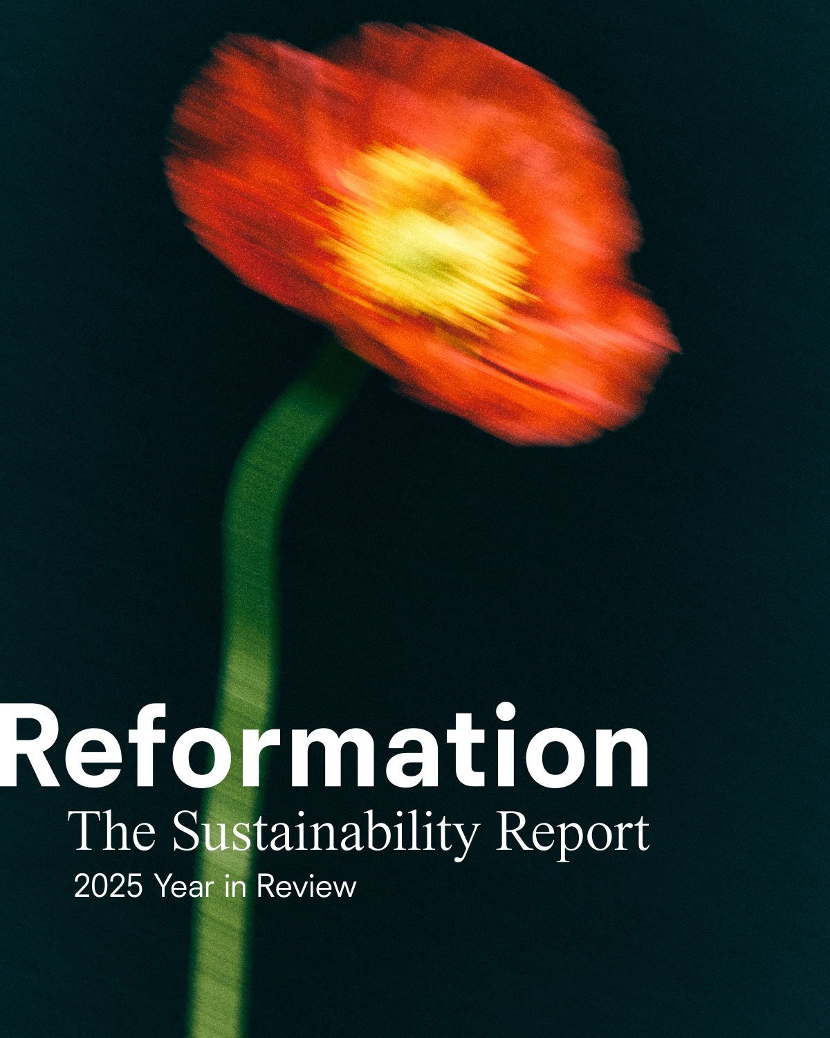 Reformation
