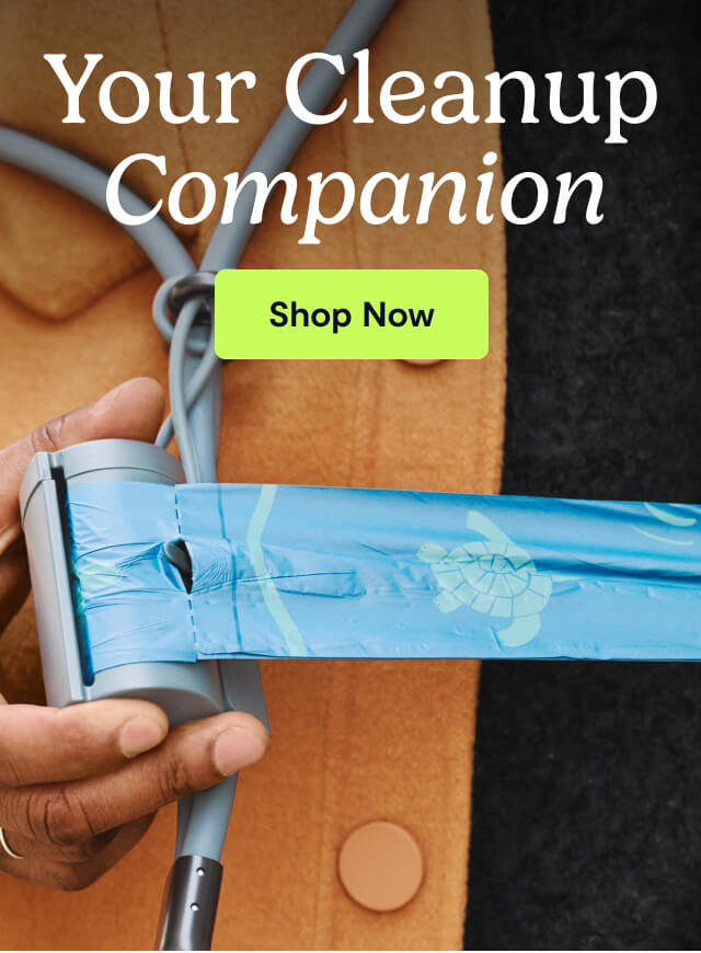 Your Cleanup Companion
