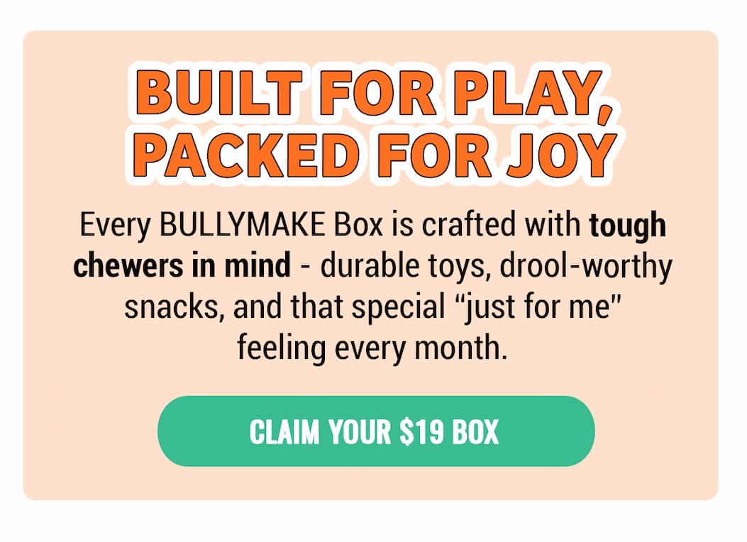 Bullymake Dog Toy Subscription Box