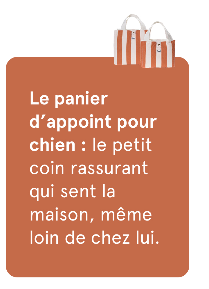 Panier