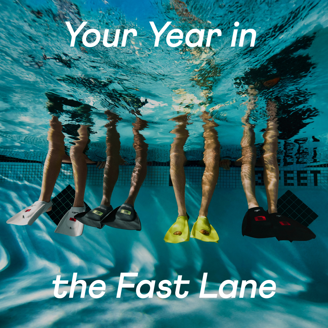 Your year in the fast lane