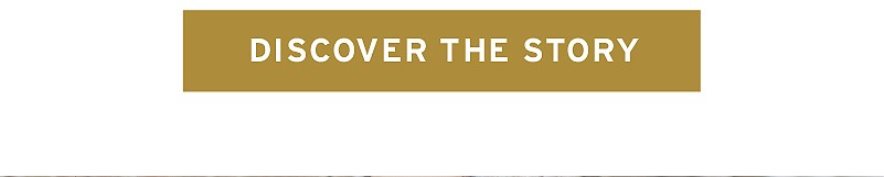 Discover the Story (Read the Blog)