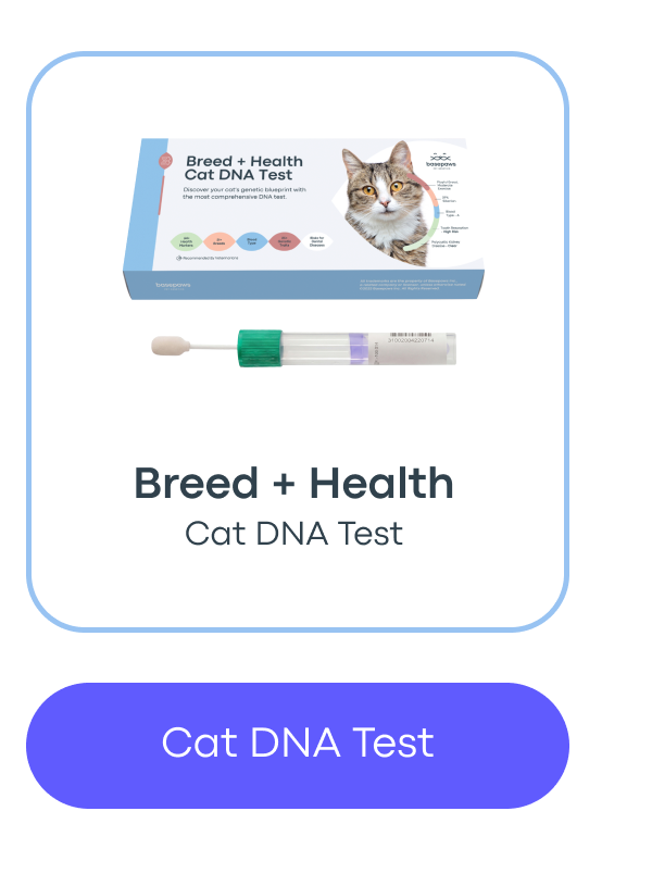 Cat DNA Test