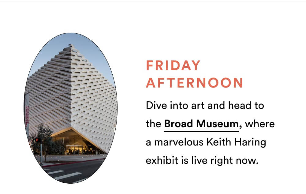 Broad Museum