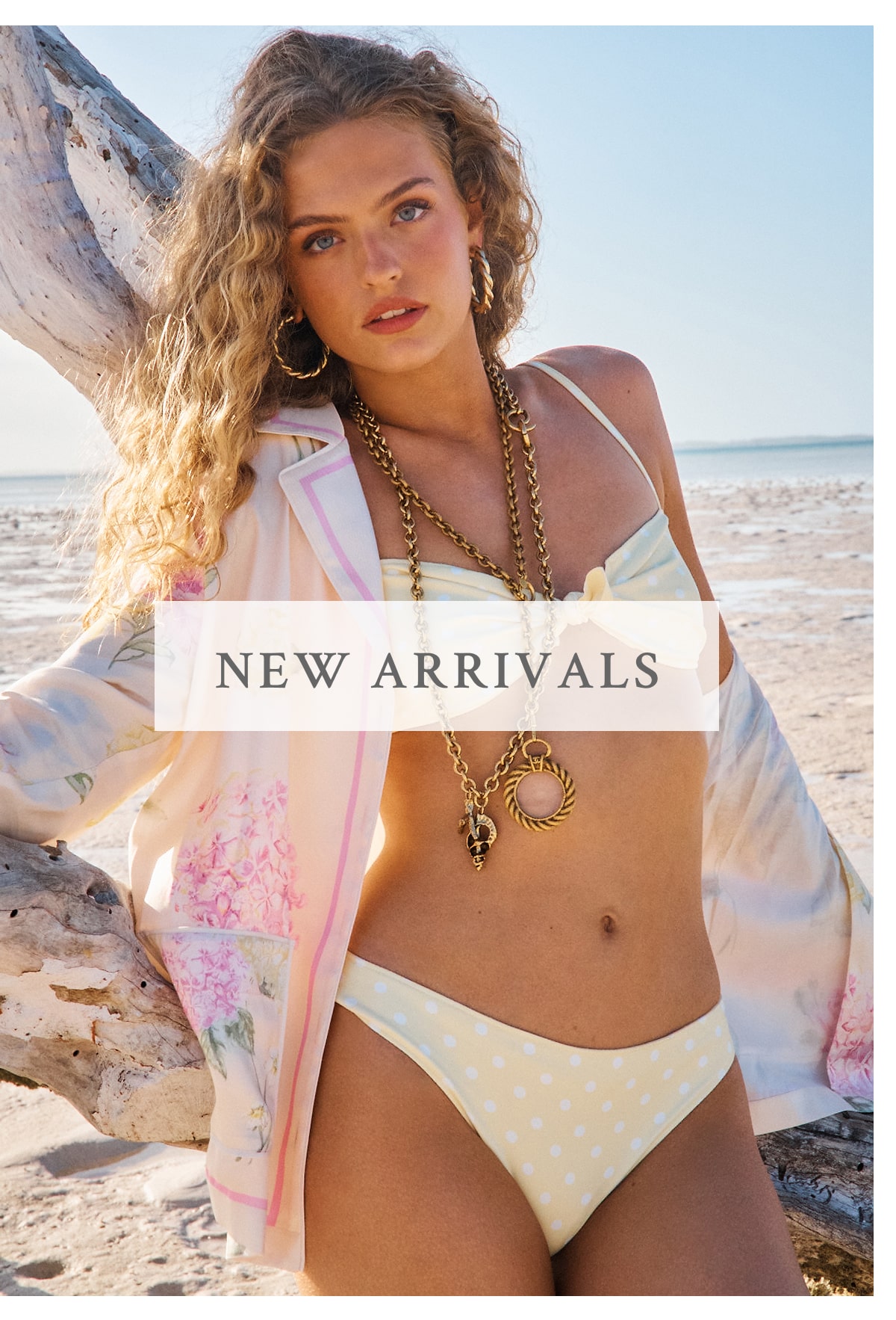 <NEW ARRIVALS>