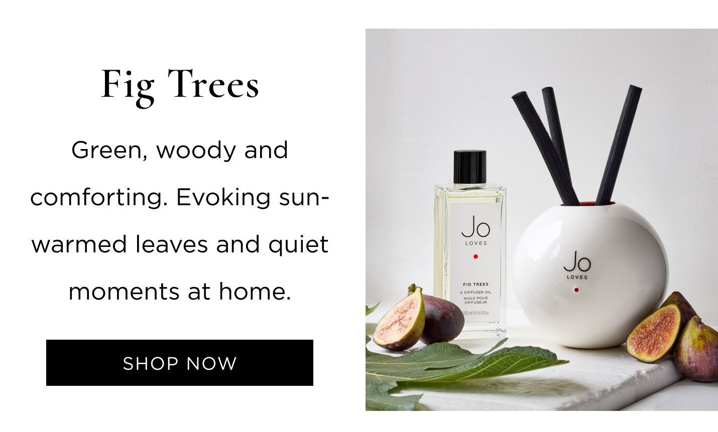 Fig Trees Green, woody and comforting. Evoking sun-warmed leaves and quiet moments at home.