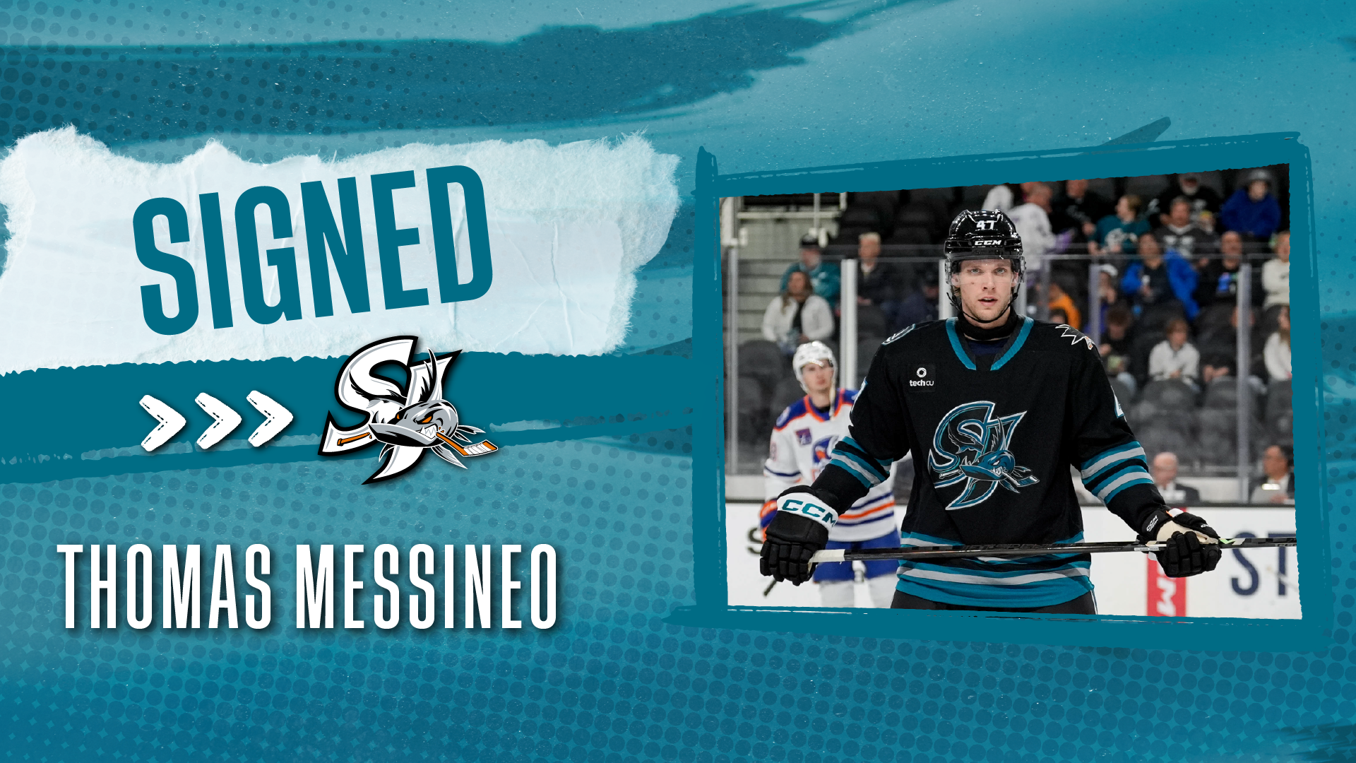 Messineo Signing