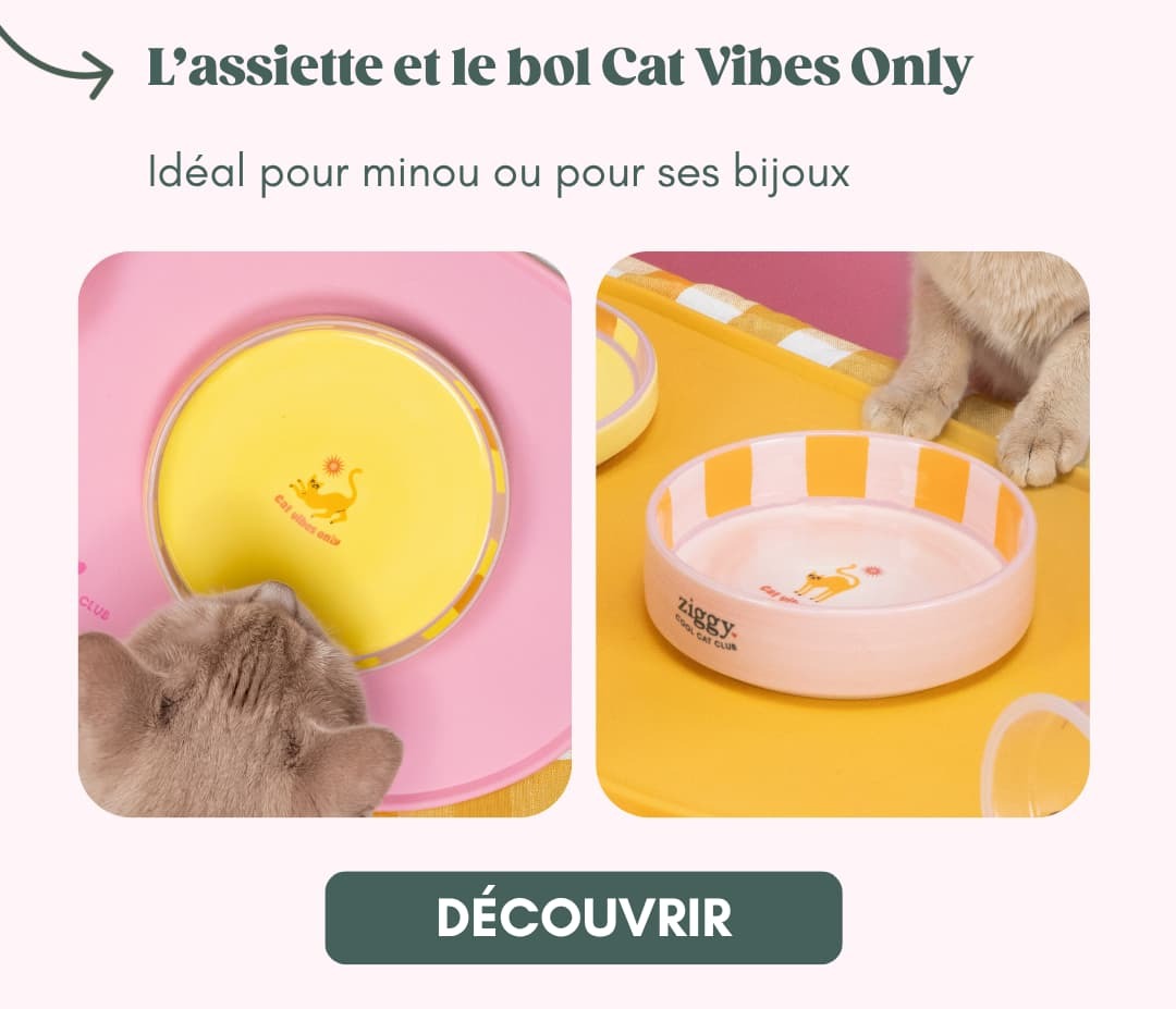 L'assiette et le bol Cat Vibes Only