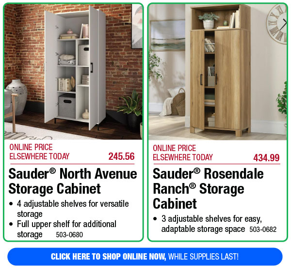 Your Choice - Horizontal Bookcase or Storage Cabinets - While Supplies Last!