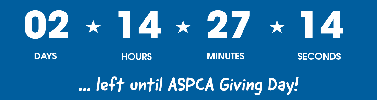 1 day left until Giving Day!