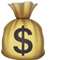 cash bag icon