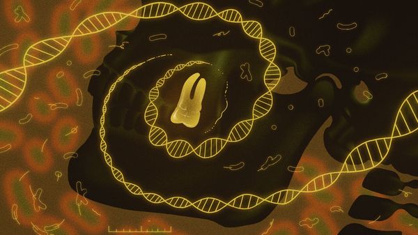 illustration of skull-like silhouette with a glowing tooth at its center. DNA strands radiate outward from the tooth, while subtle bacteria-like shapes hint at ancient plague research