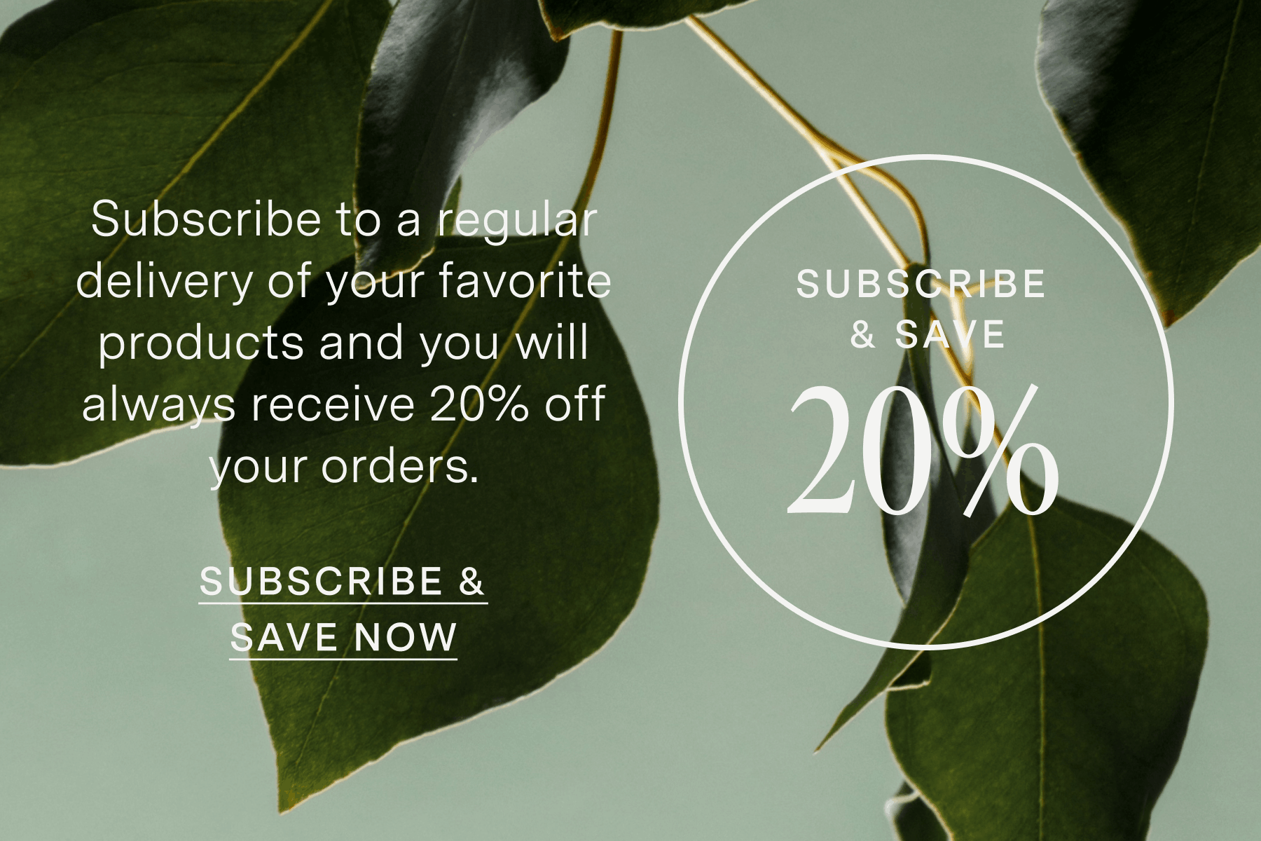 SUBSCRIBE & SAVE 20%
