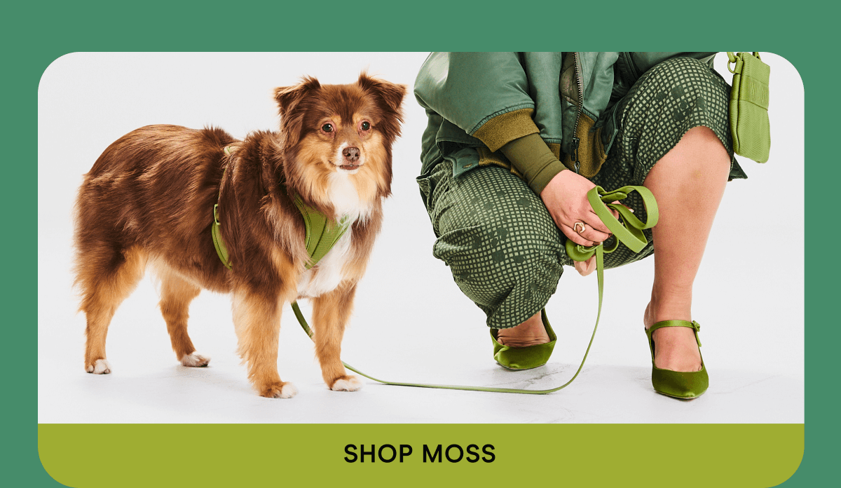 Shop Moss