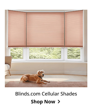 Blinds.com Cellular Shades | Shop Now >