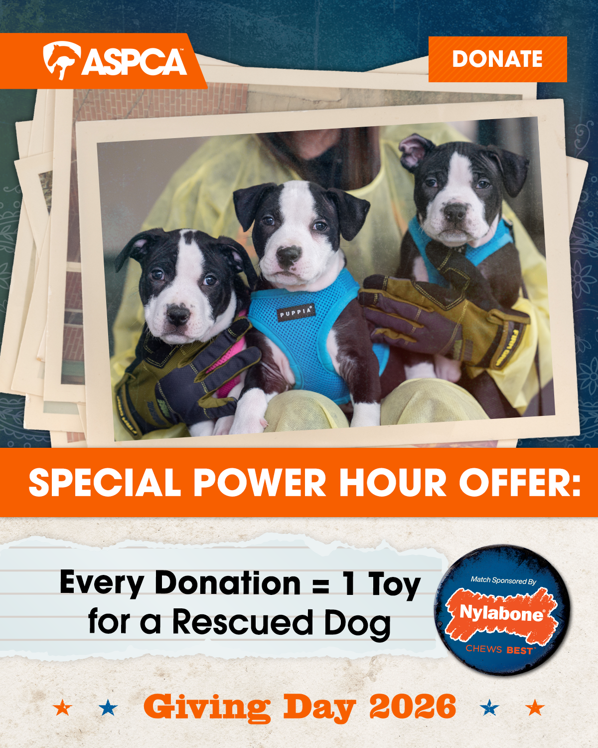 Special Power Hour Offer - Every Donation is 1 toy for a rescued dog. 